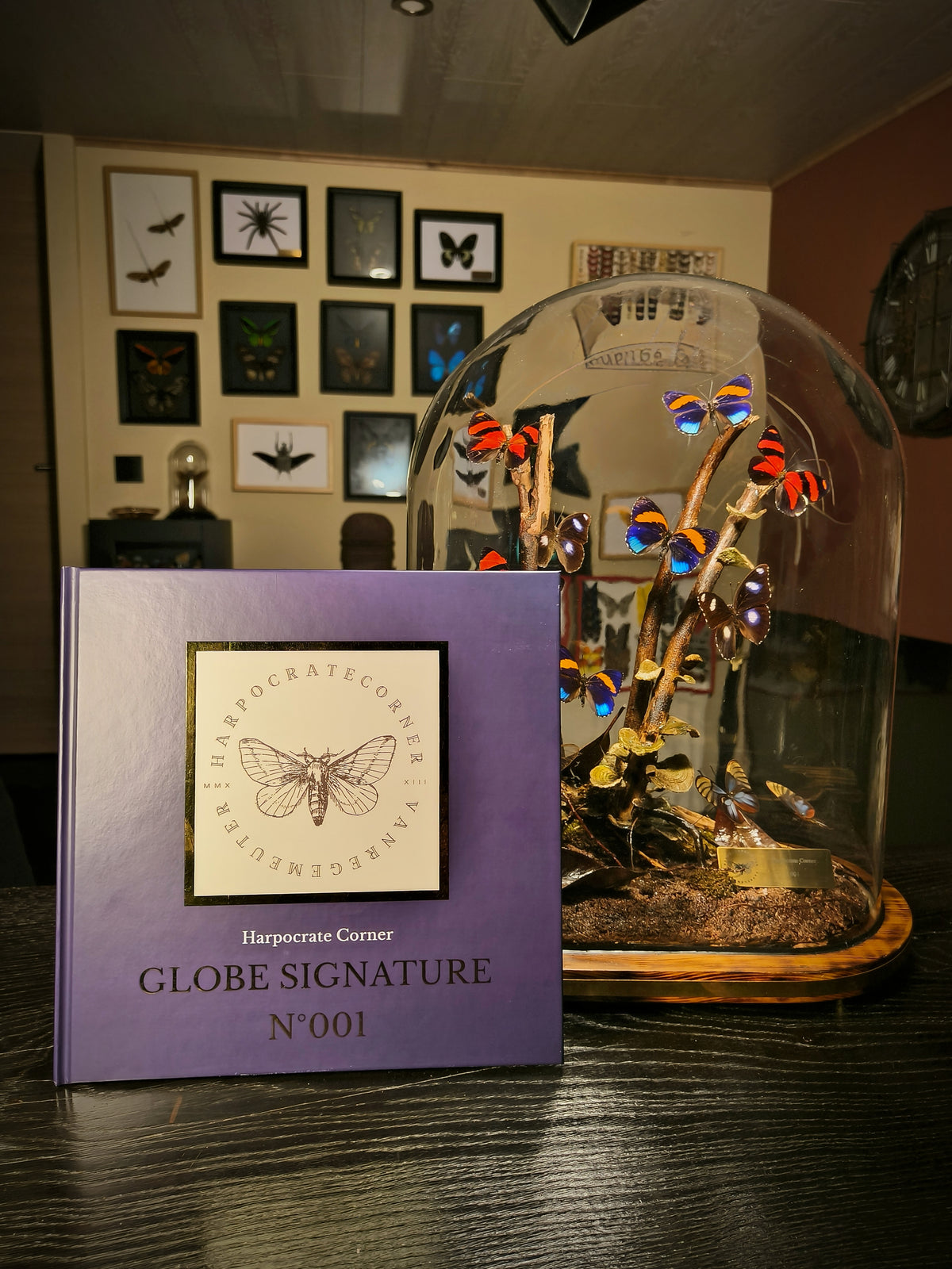 Globe Signature 001 — Pièce Unique