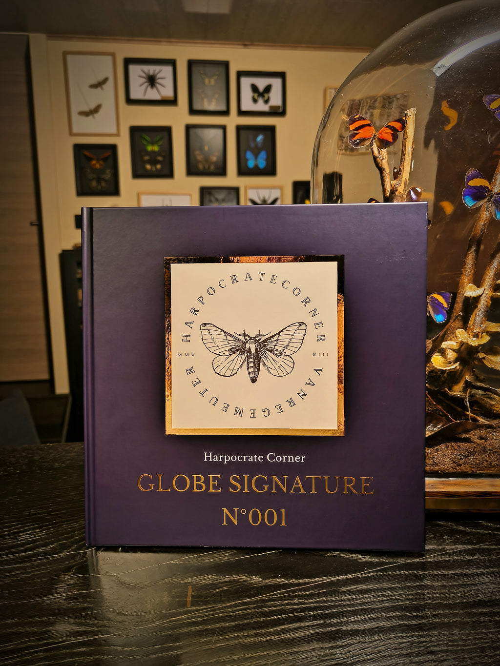 Globe Signature 001 — Pièce Unique