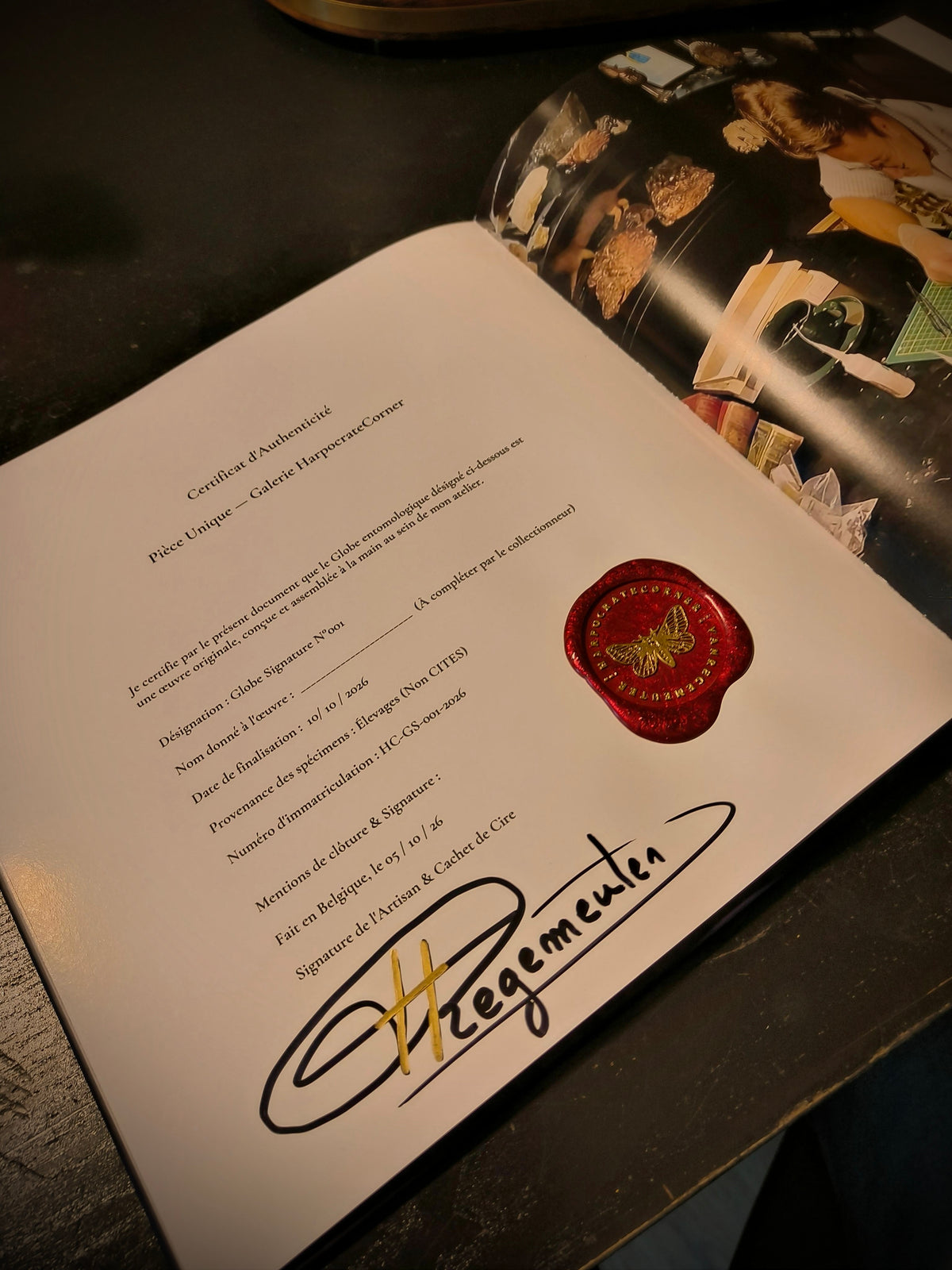 Globe Signature 001 — Pièce Unique