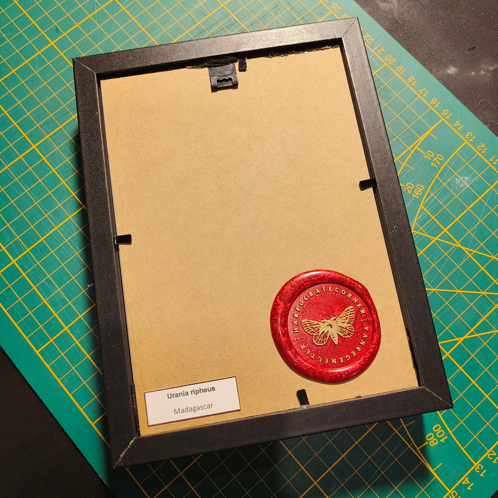 Commande personnalisée (6 cadres)