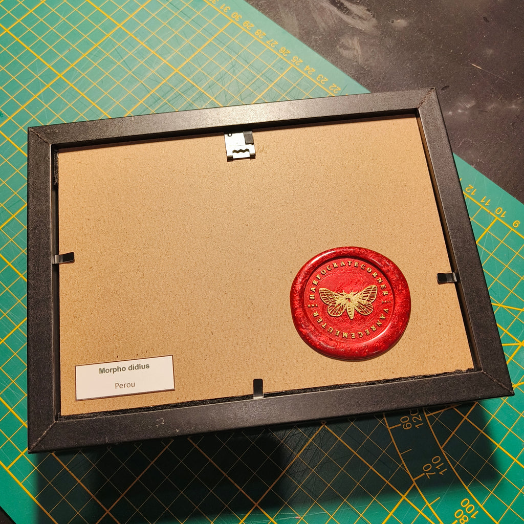 Commande personnalisée (6 cadres)