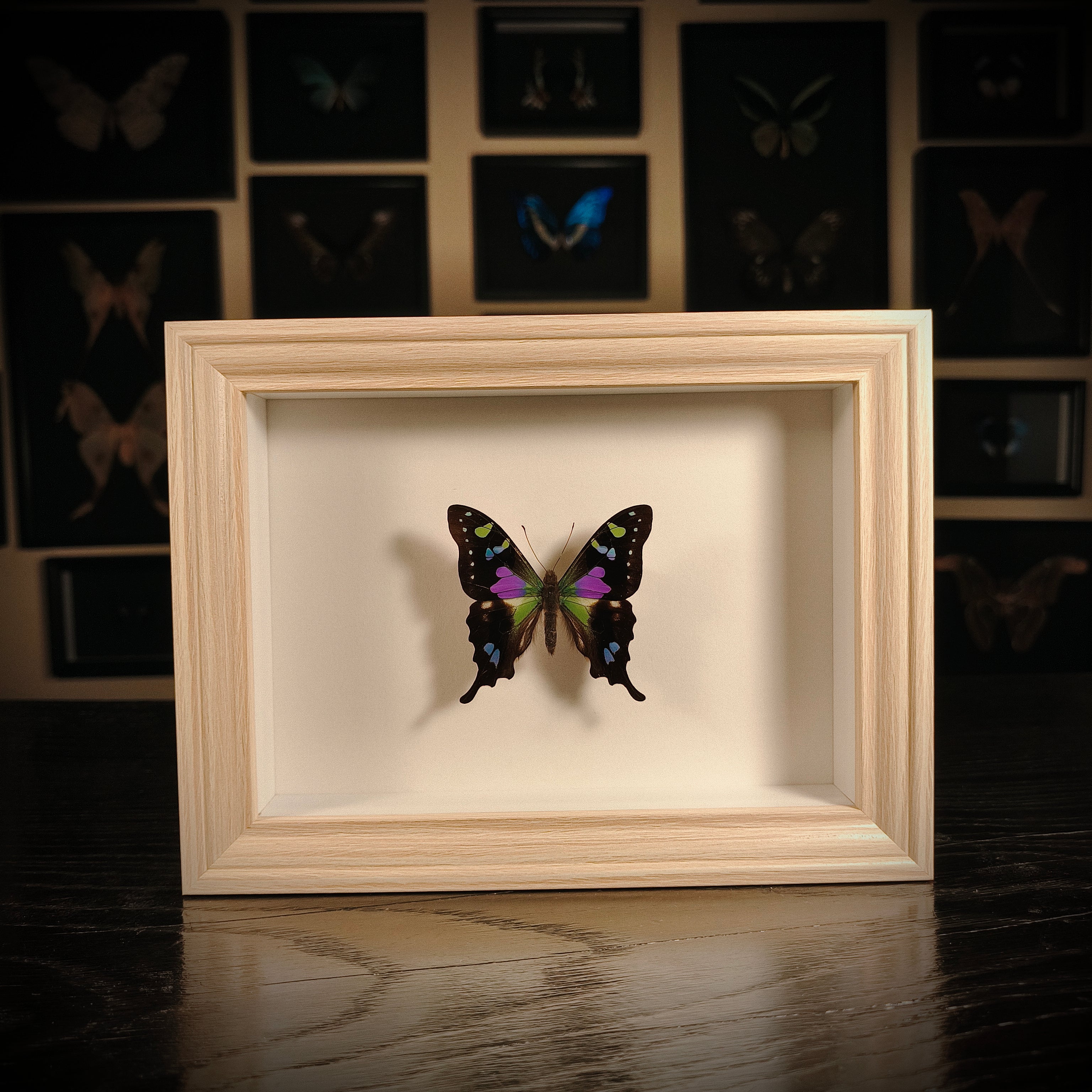 Graphium weiskei