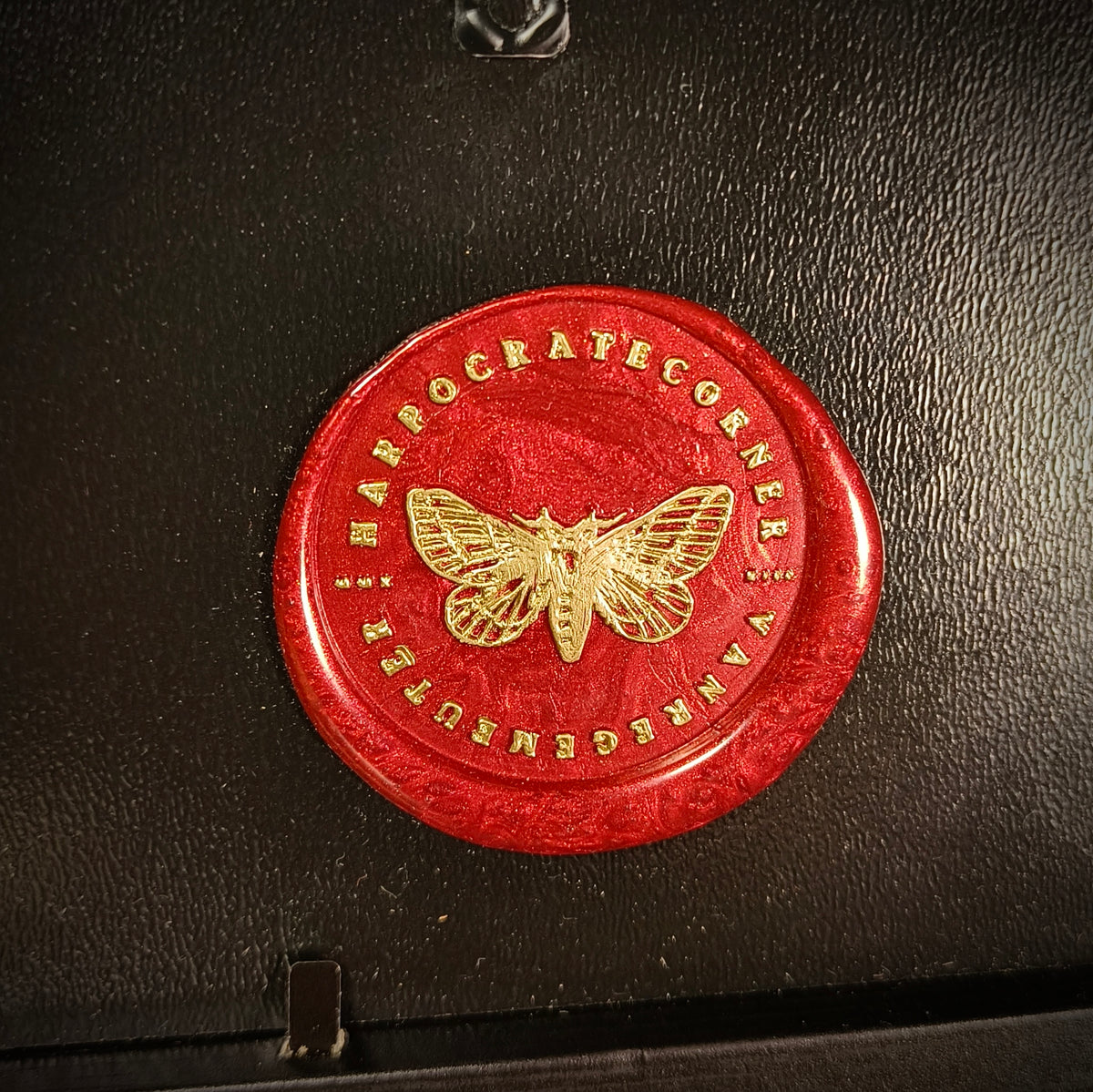 Premium - Pamphobeteus antinous