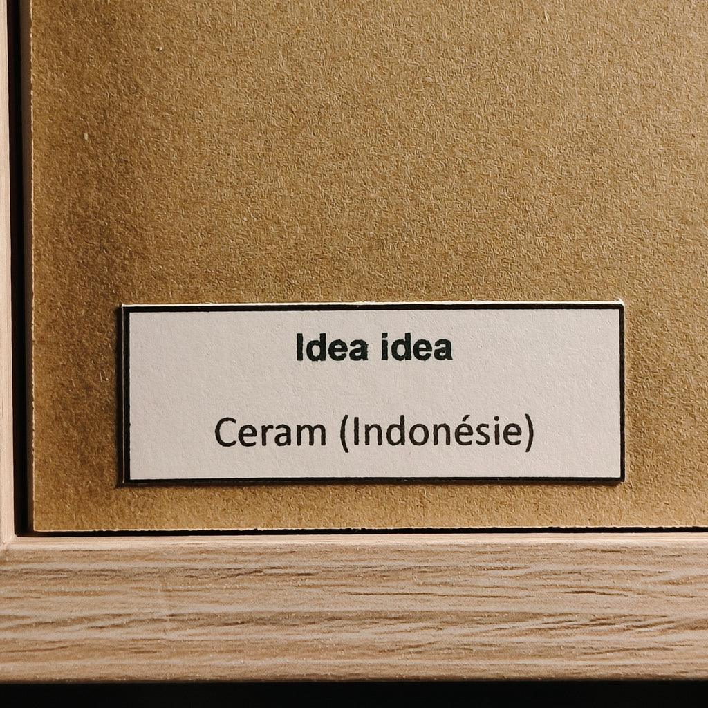 Idea idea