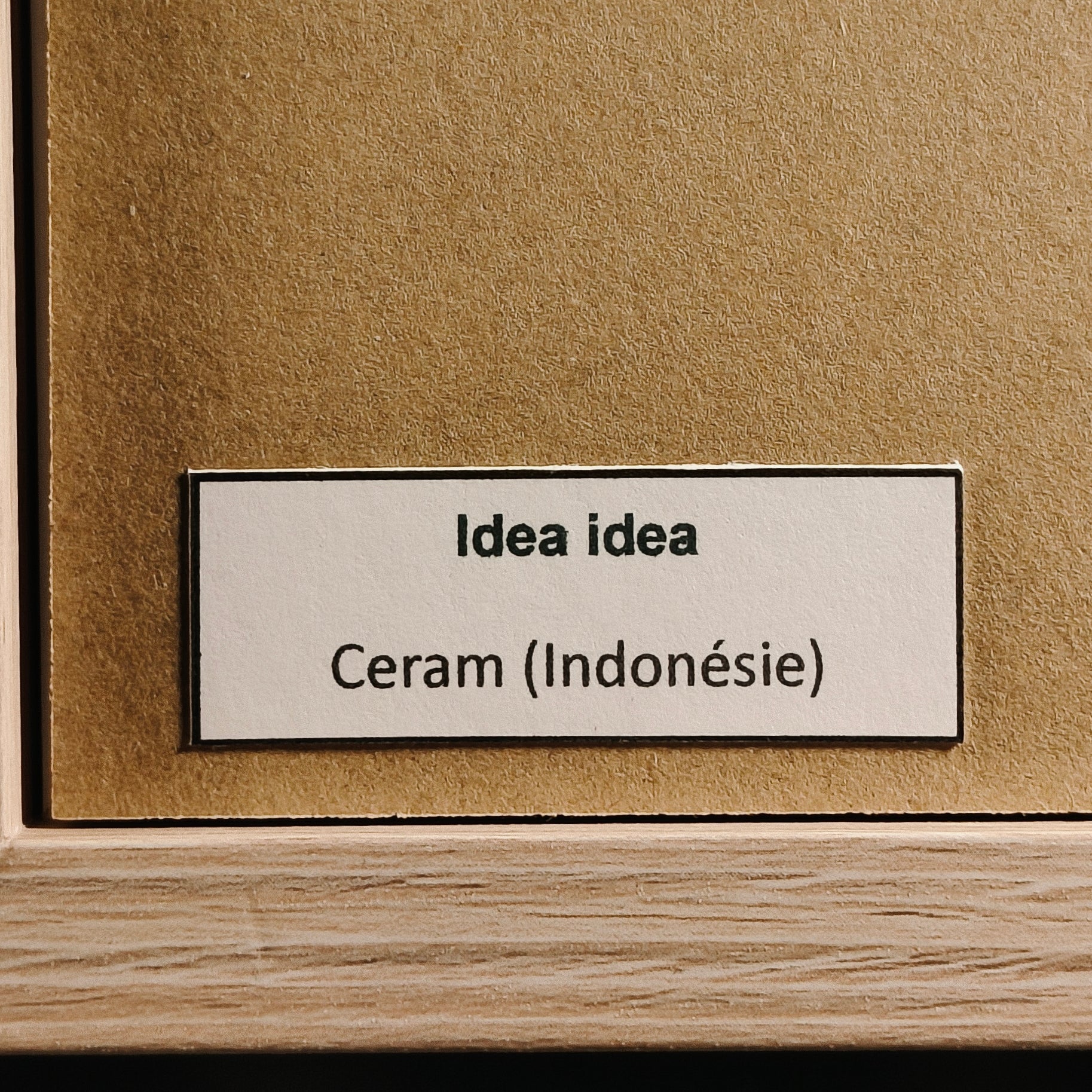 Idea idea