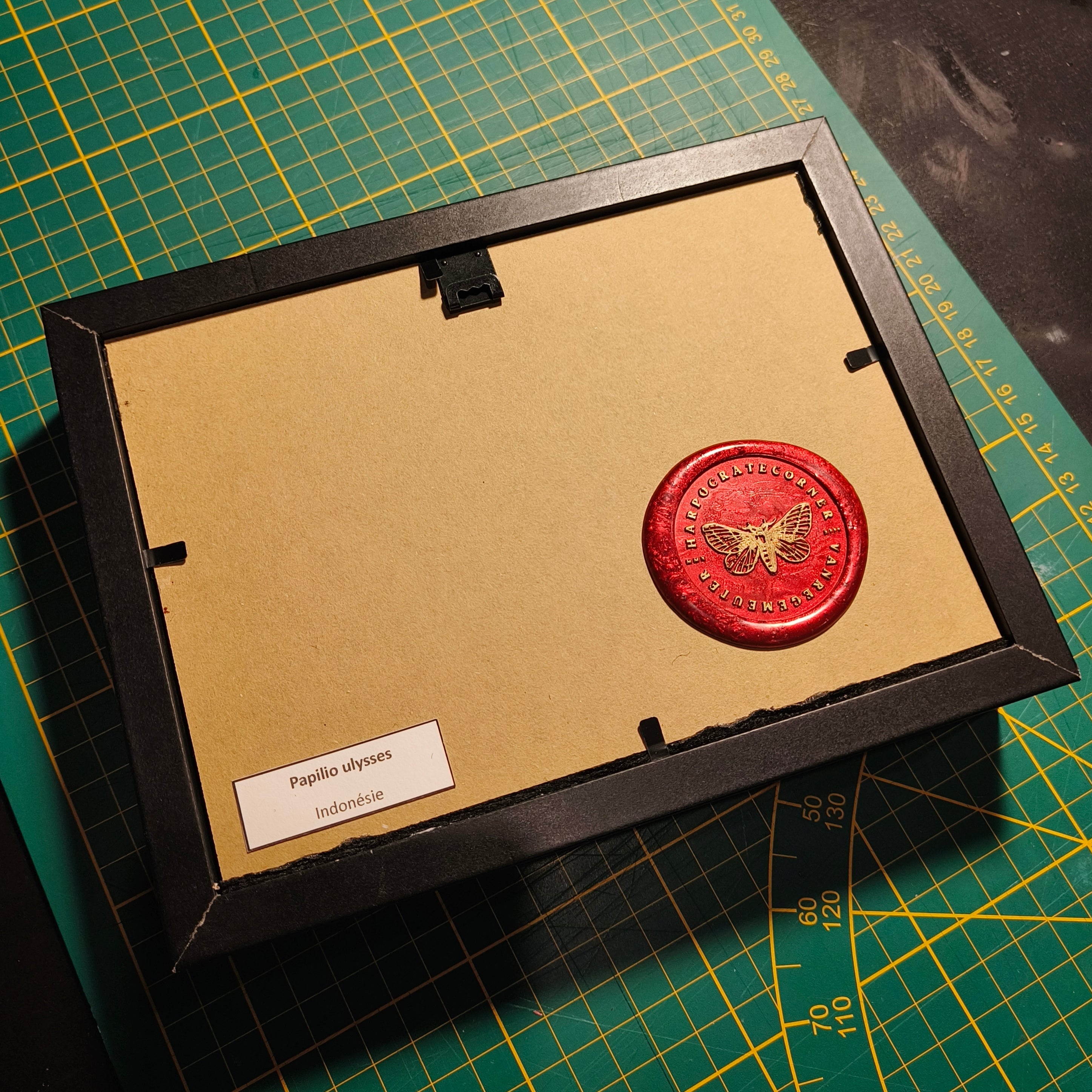 Commande personnalisée (6 cadres)