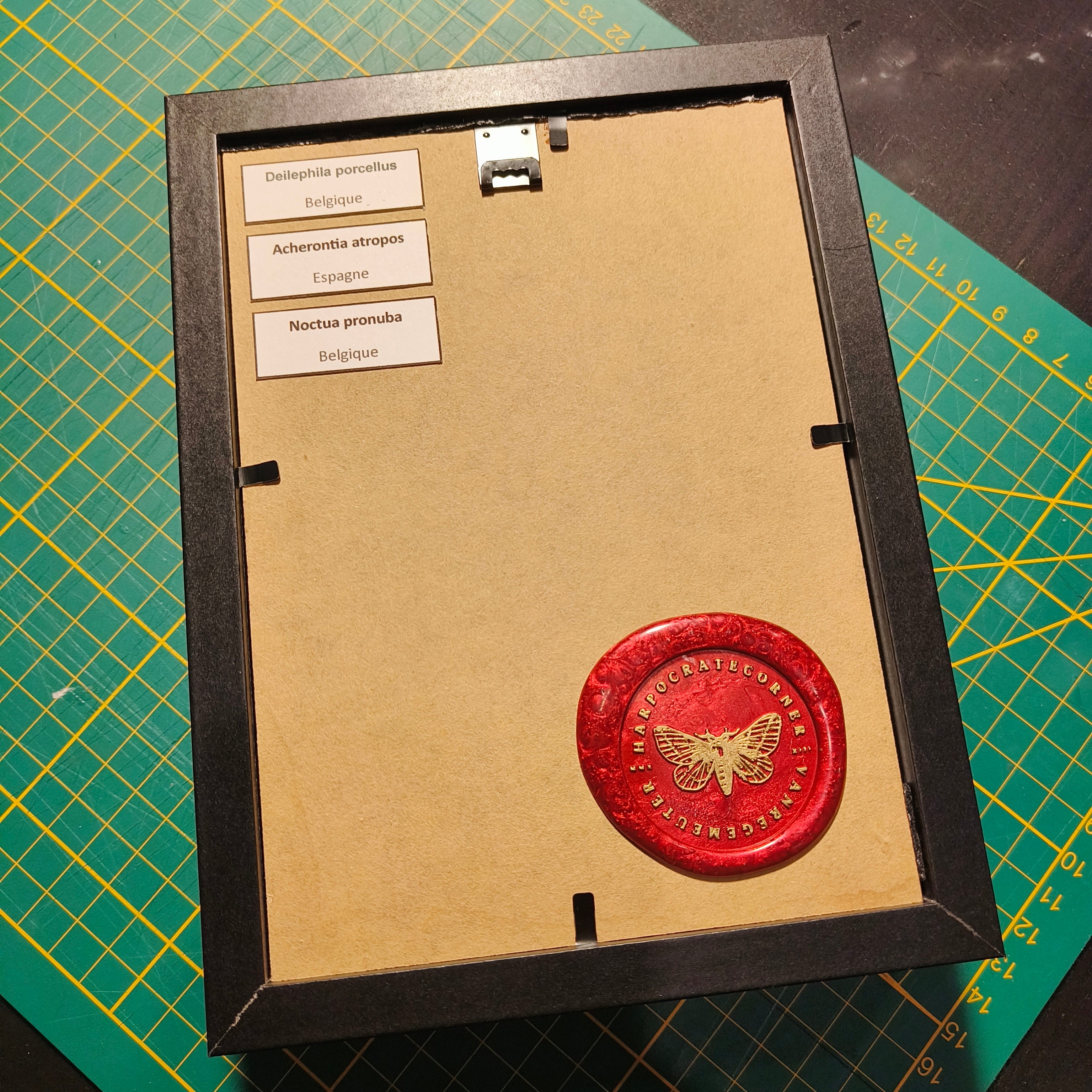 Commande personnalisée (6 cadres)