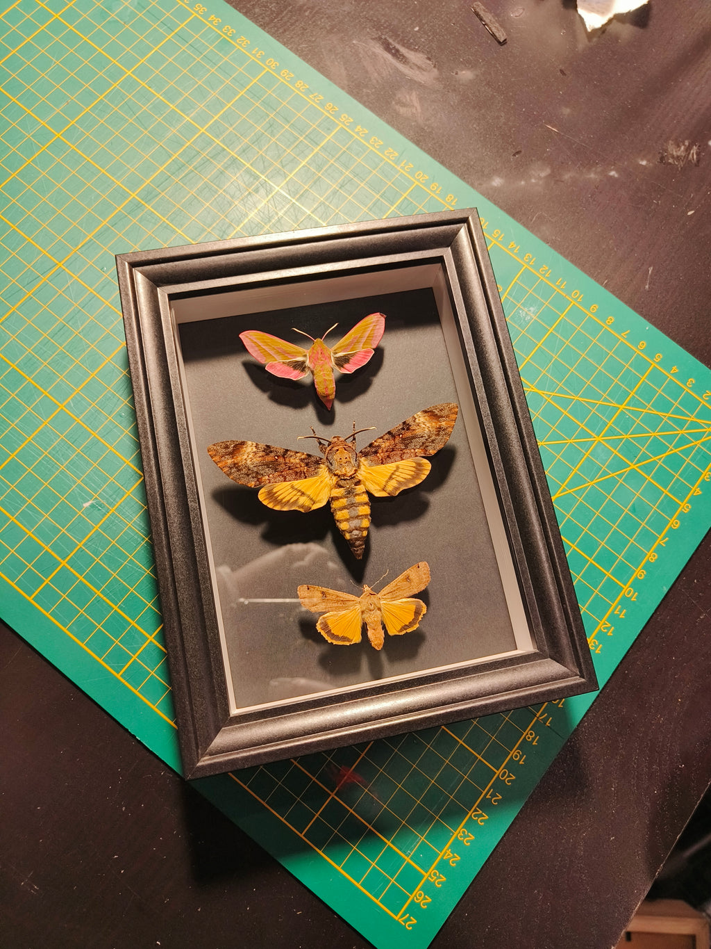 Commande personnalisée (6 cadres)