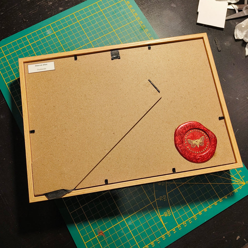 Commande personnalisée (6 cadres)