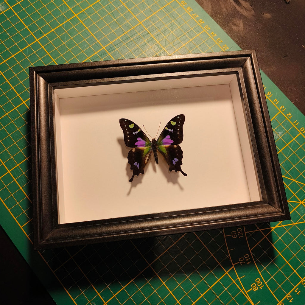 Commande personnalisée (6 cadres)