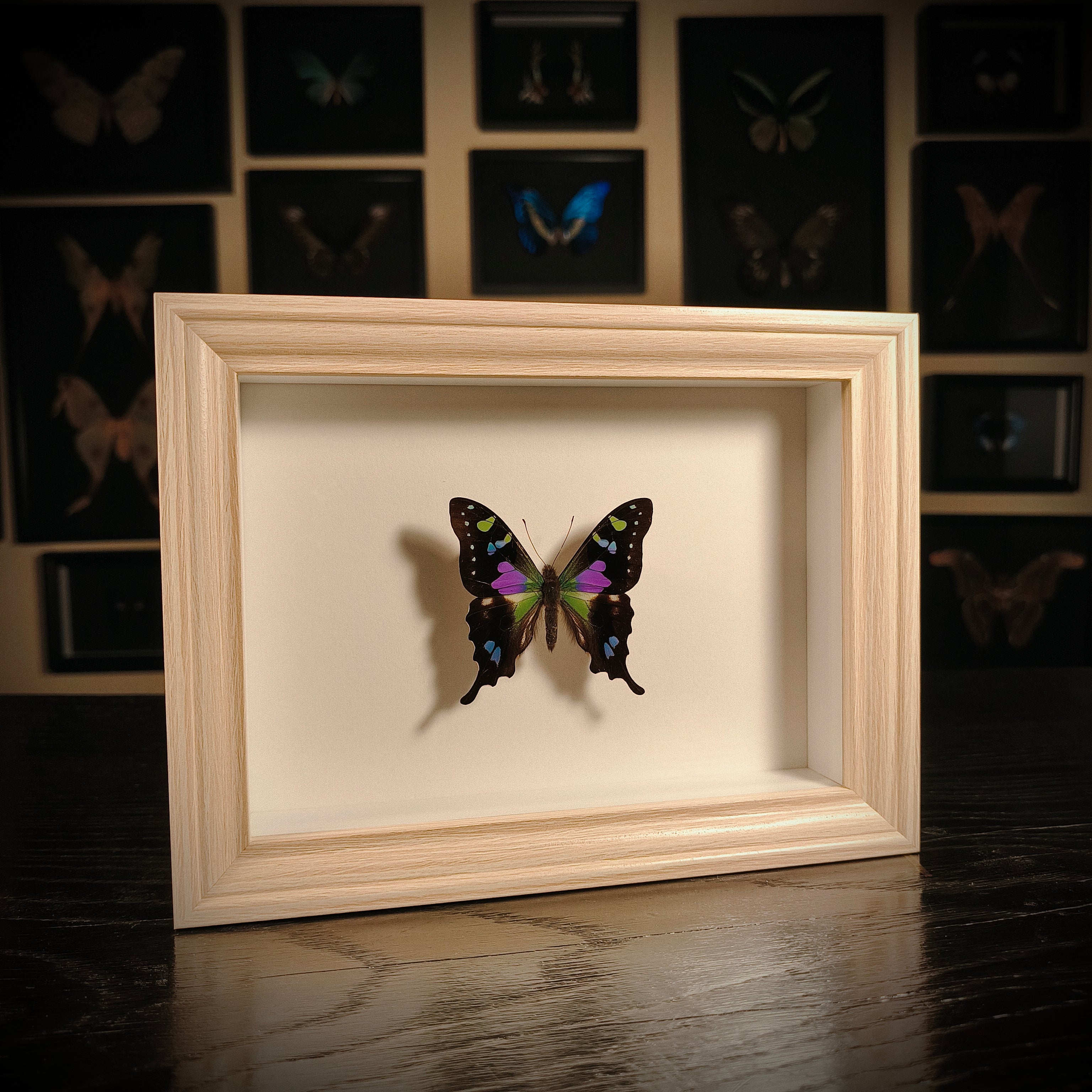 Graphium weiskei