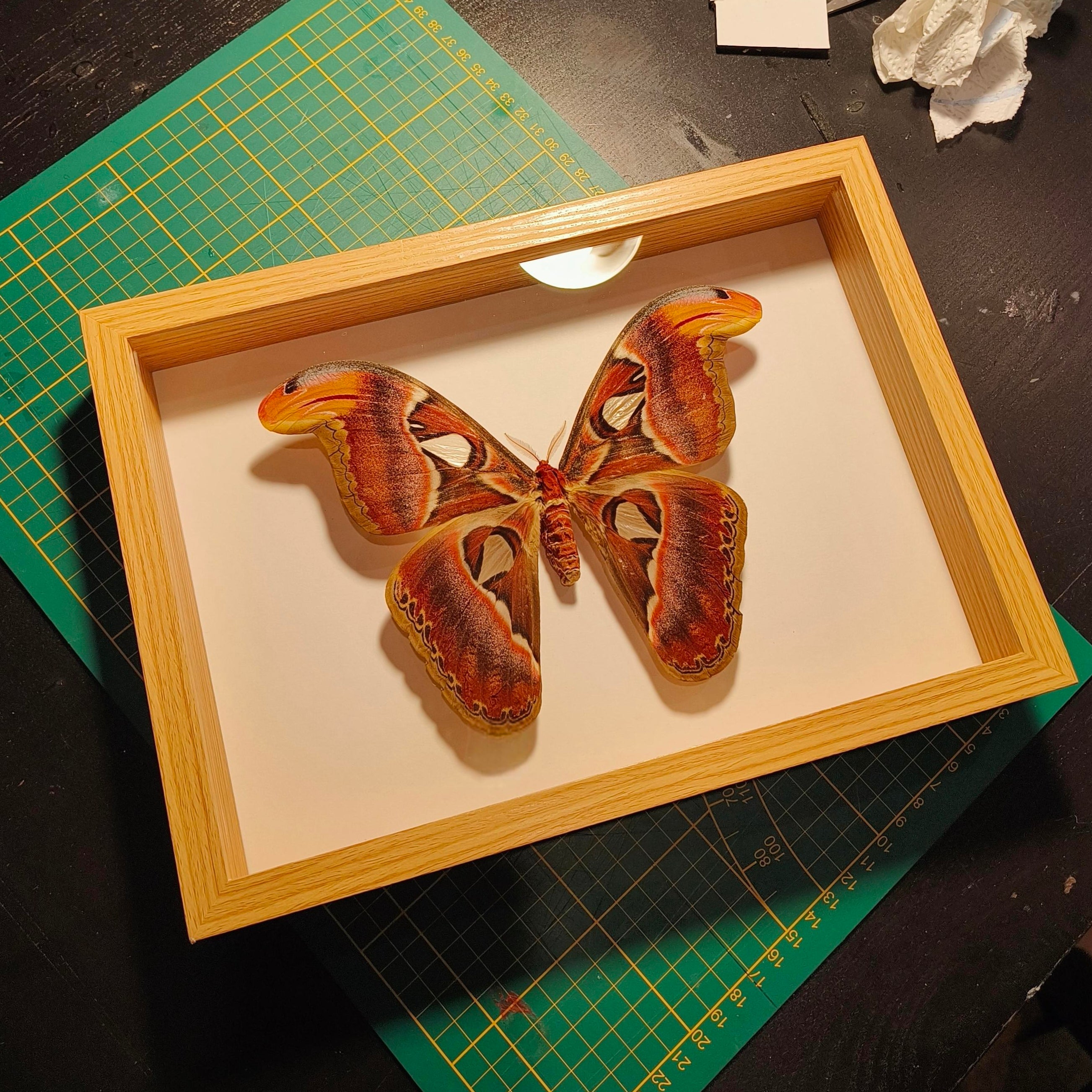 Commande personnalisée (6 cadres)