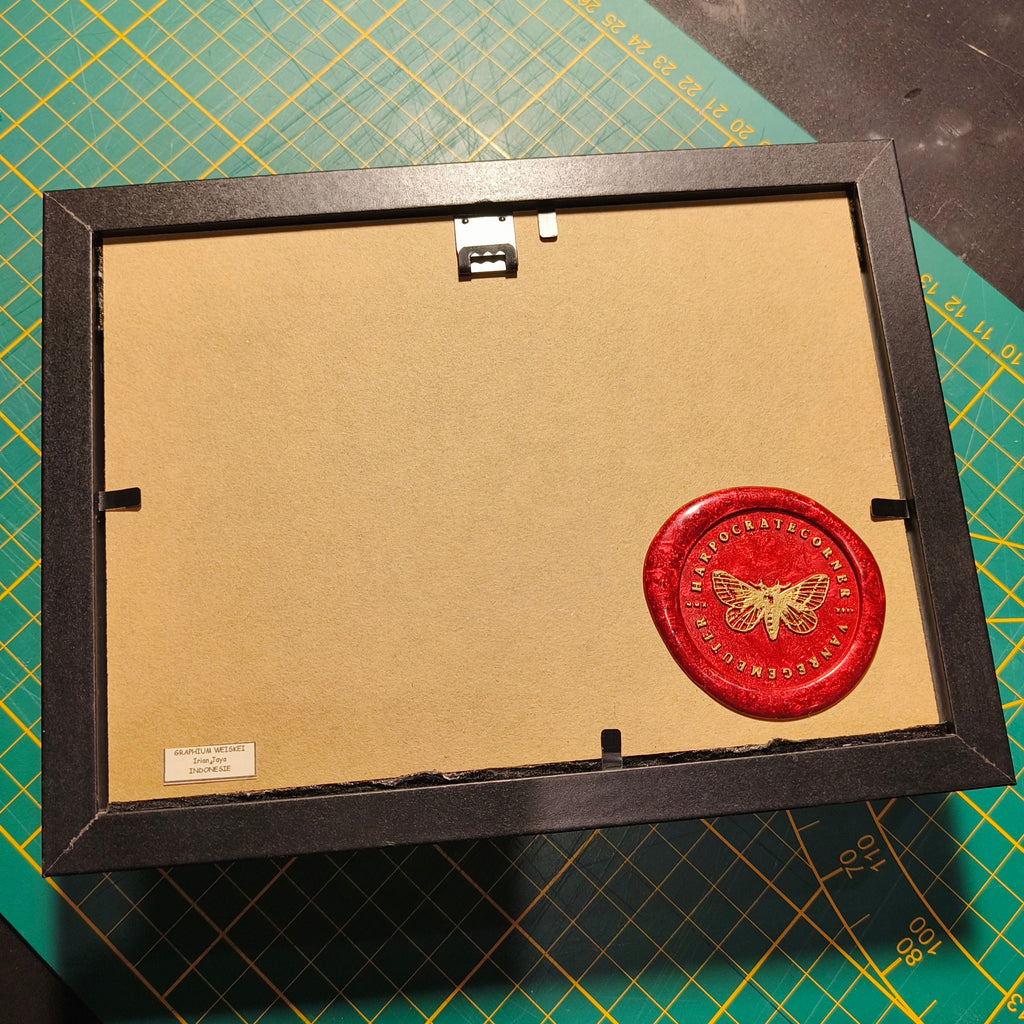 Commande personnalisée (6 cadres)